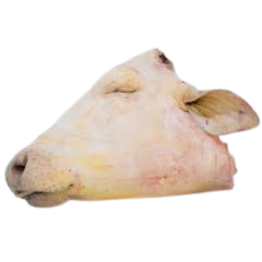 Beef Head - Fresh premium beef cut available for collection in Zimbabwe